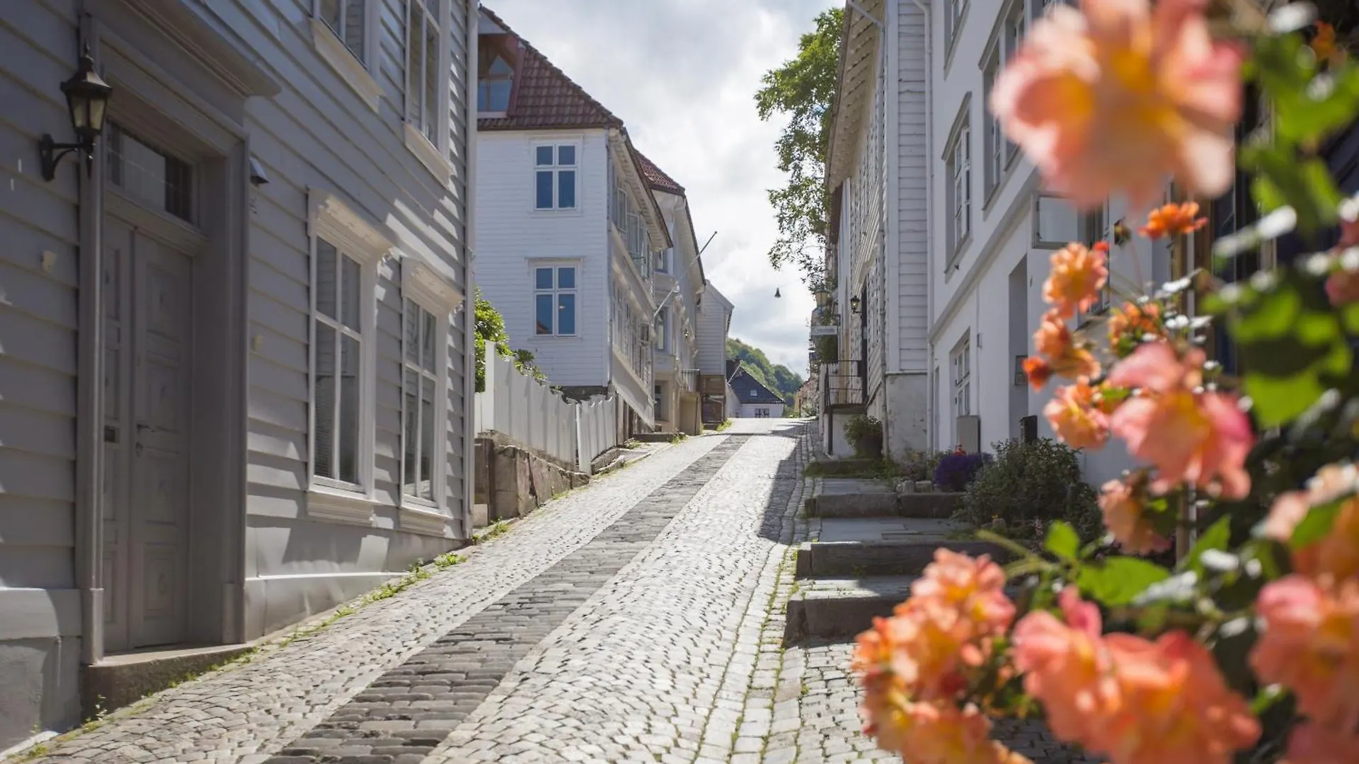 Super Cozy Apartment In Picturesque Neighborhood Bergen 0*,